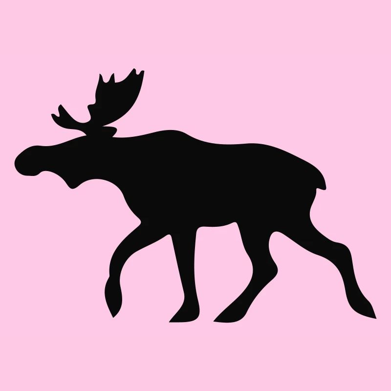 Norwegen - Elch