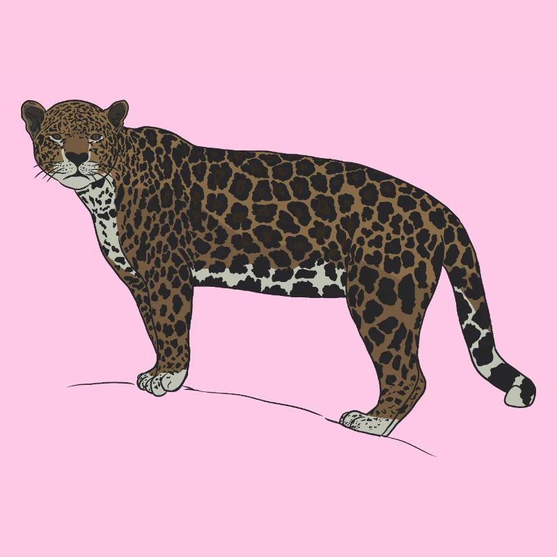 Jaguar-Blick