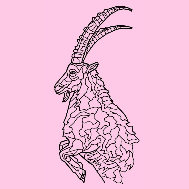 Capricorne