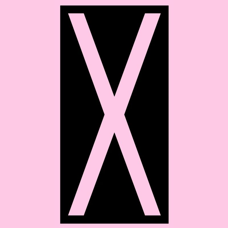 Rectangle X