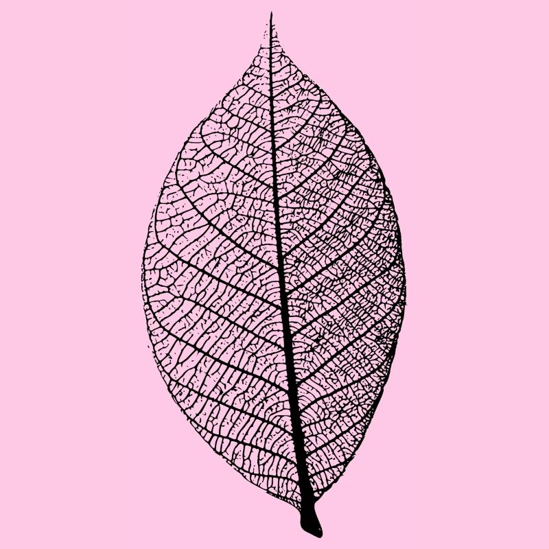 leaf tree forest skeleton pattern nerve love heart