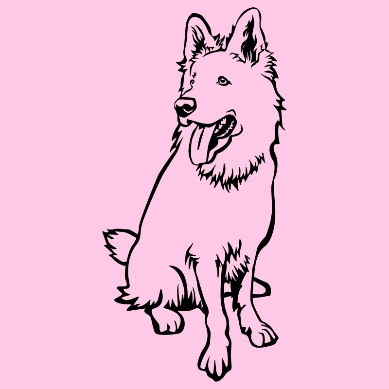 Schweizer Schäferhund
