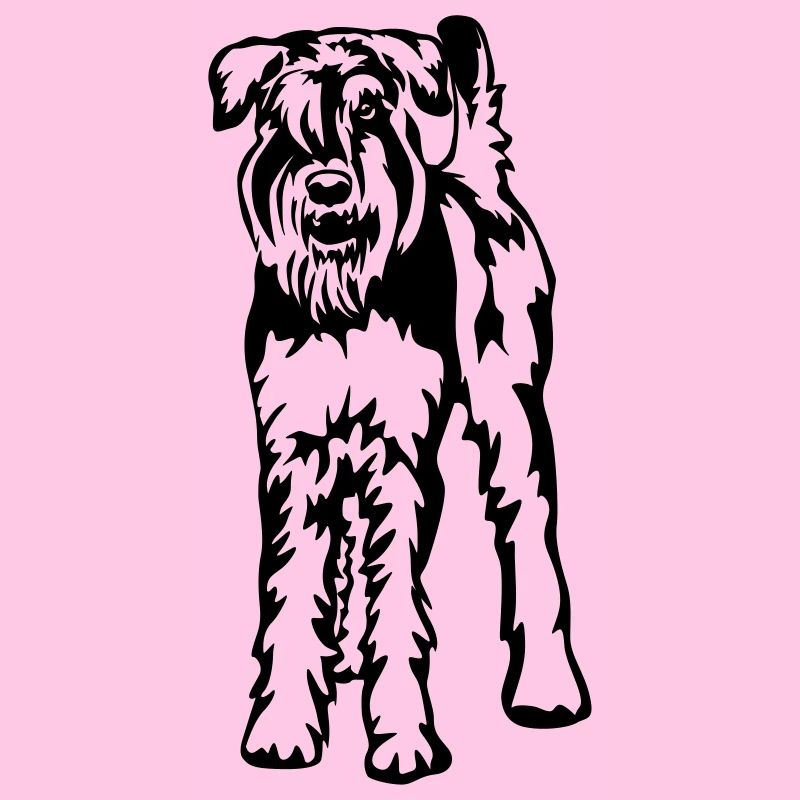 Schnauzer géant