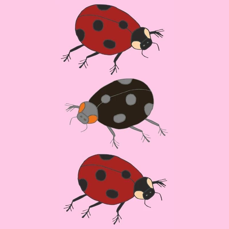 ladybug trio