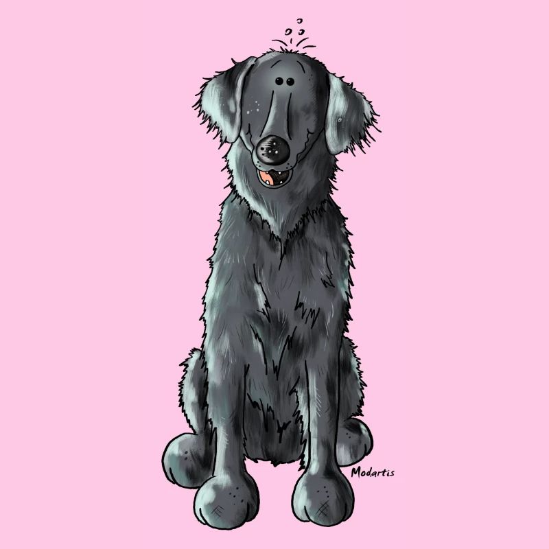 Happy Flat Coated Retriever