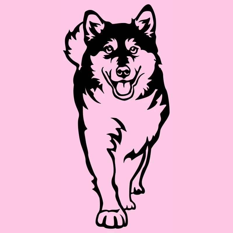 Alaskan Malamute
