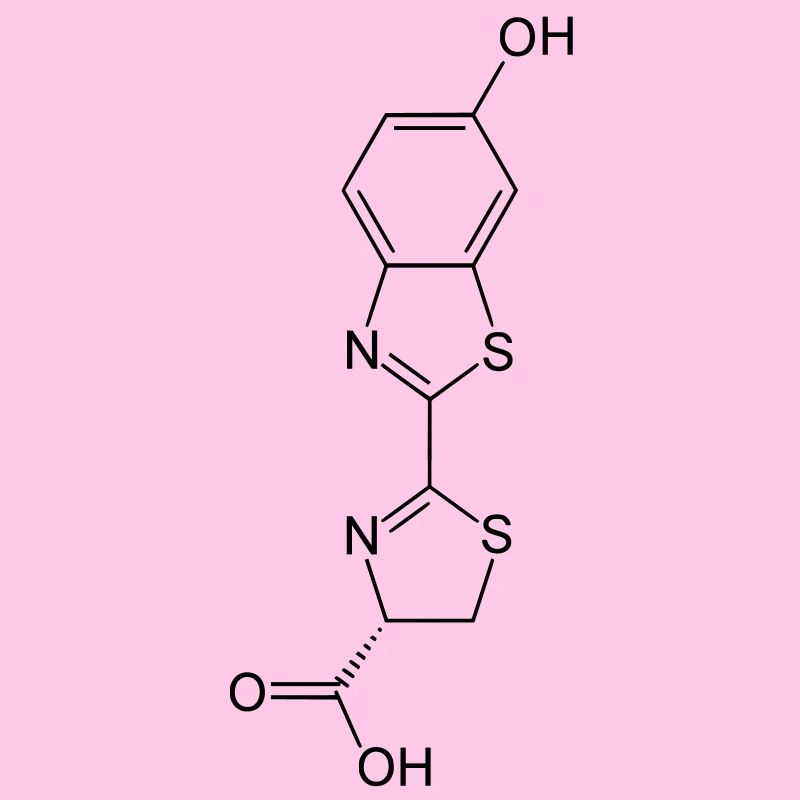 Leuchtend / Glow in the dark firefly luciferin