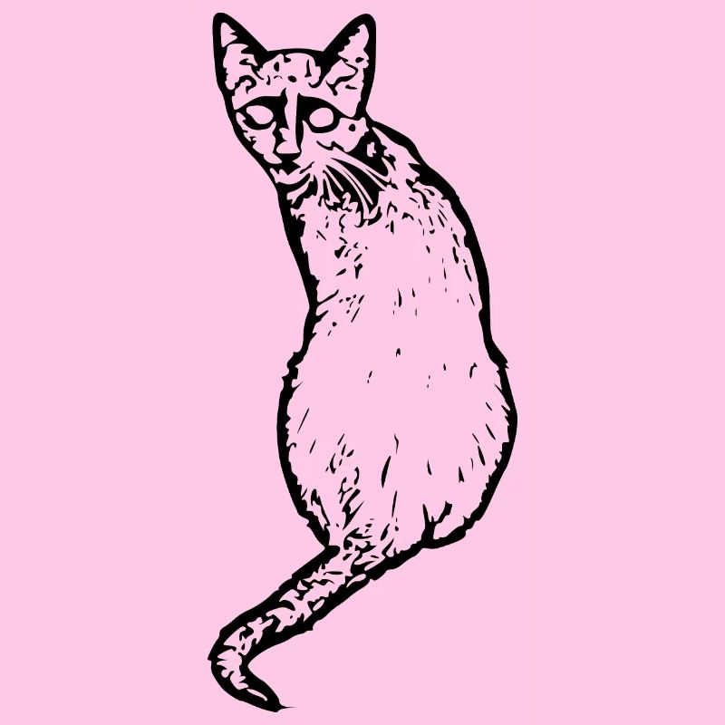 Cat black
