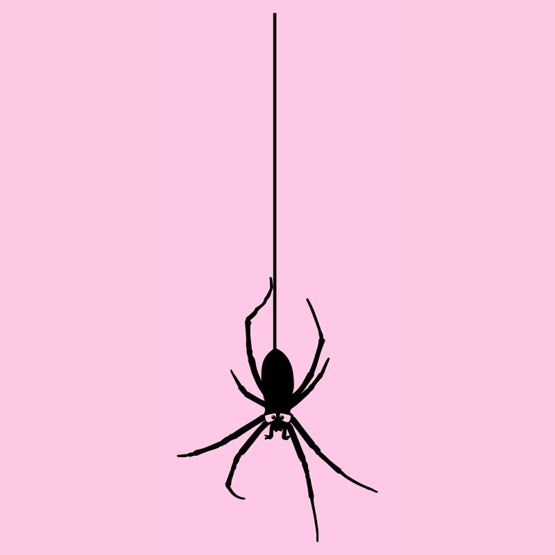 Araignée