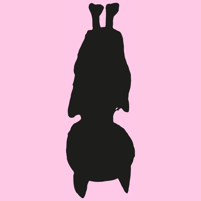 Bat
