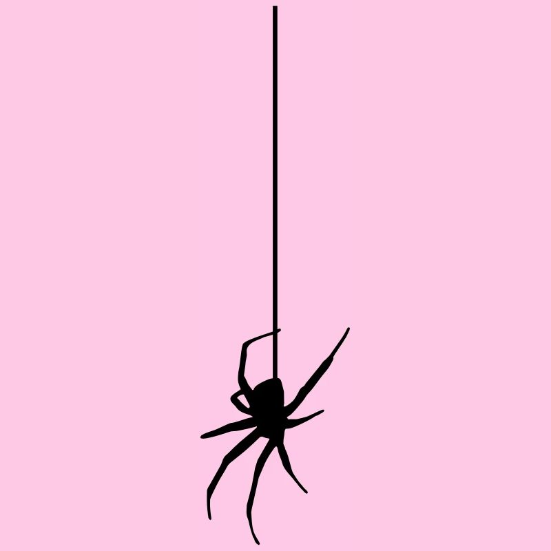 Spider on a thread - Araignée