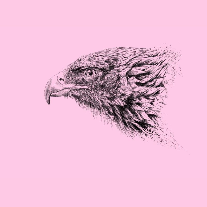 Adler