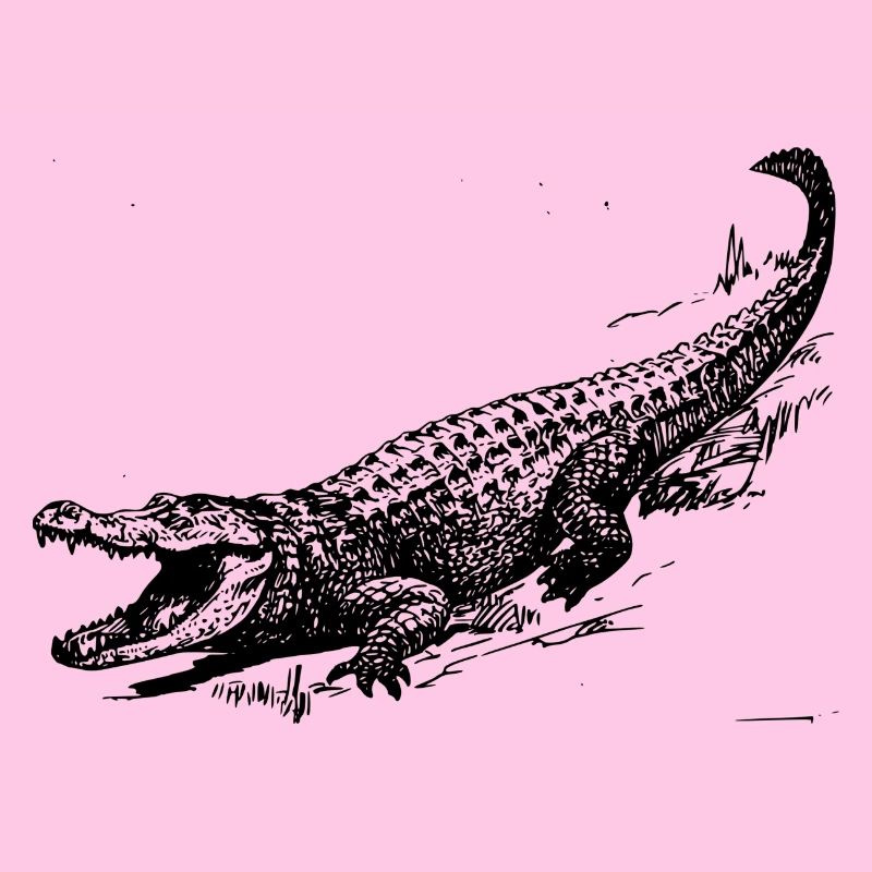 Croco 32