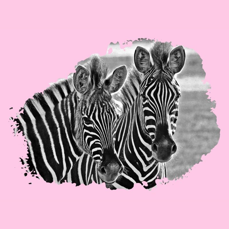 Black and White Zebra Duo
