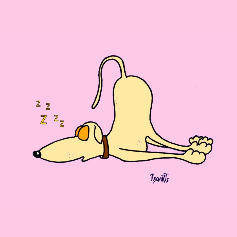 Greyhound - juste dormir