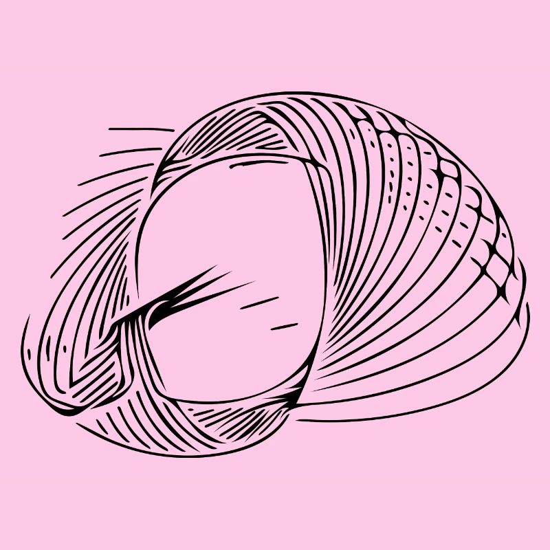 Lignes de cercle géométriques