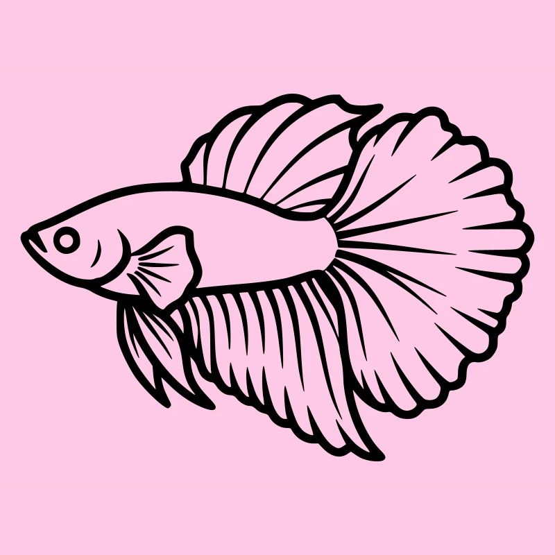 Kampffisch Betta Splendens Aquarium