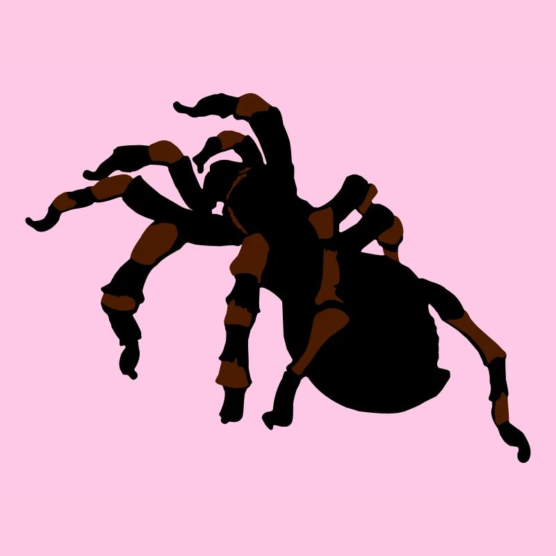 spinnen