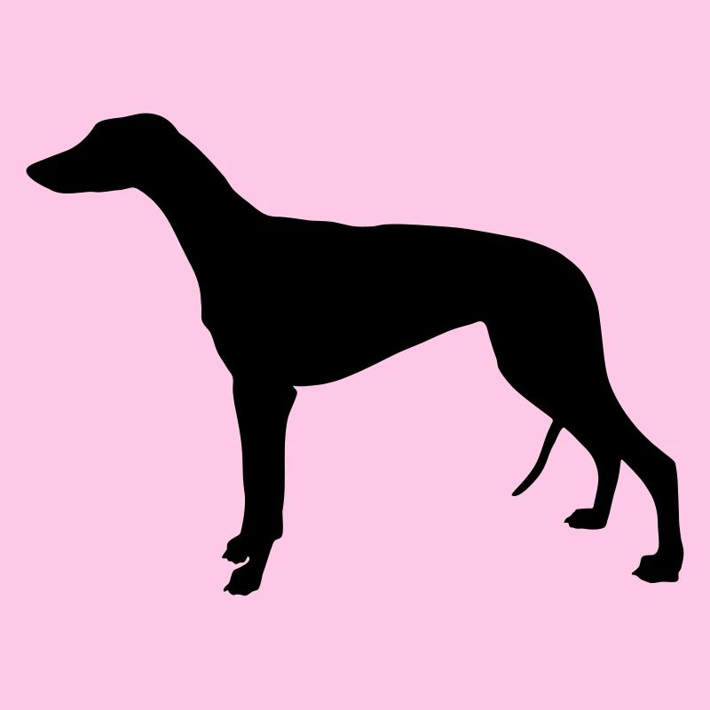 Greyhound
