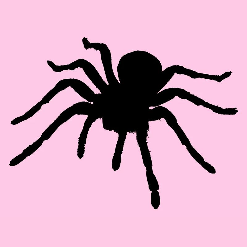 Spiders rampants