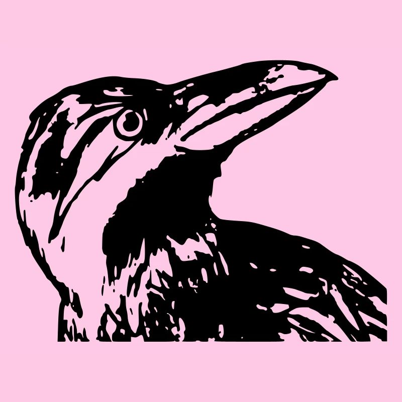 Raven