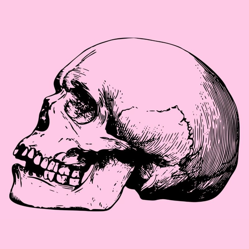 crâne