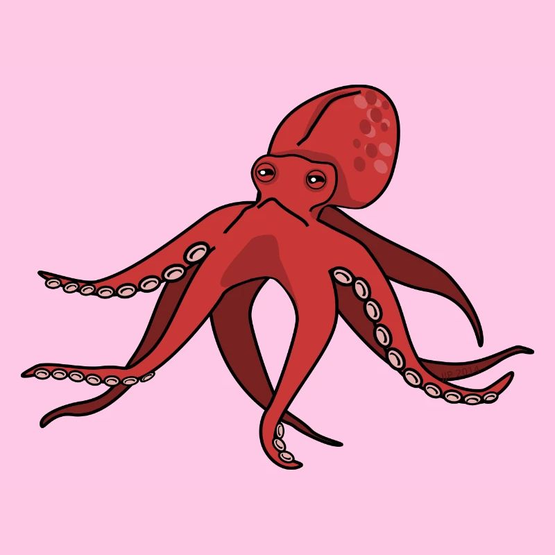 squid giant octopus octopus octopus squid sepia fish