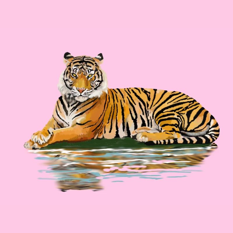 tiger