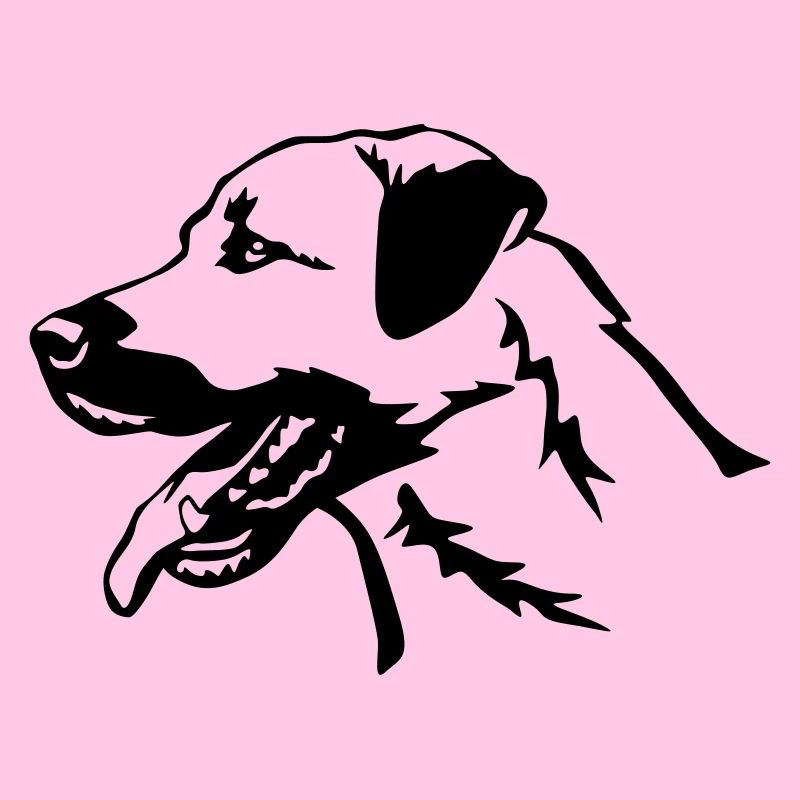 Tête de kangal