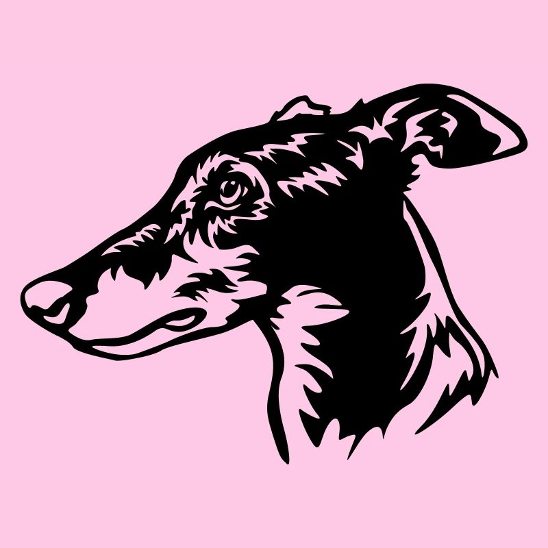 Greyhound Kopf