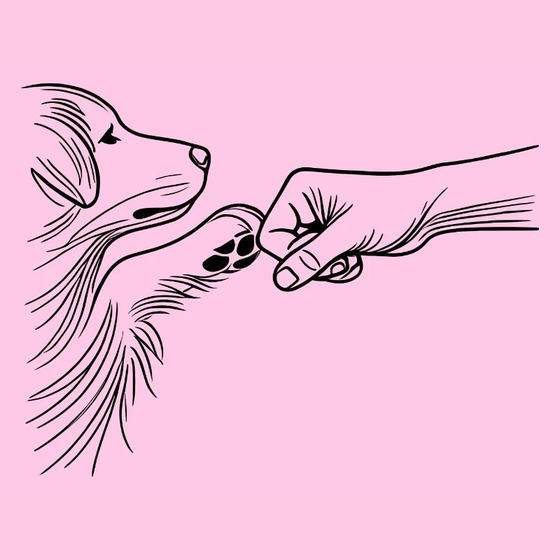 Hund und Mensch Bindung Fauststoß Bester Freund
