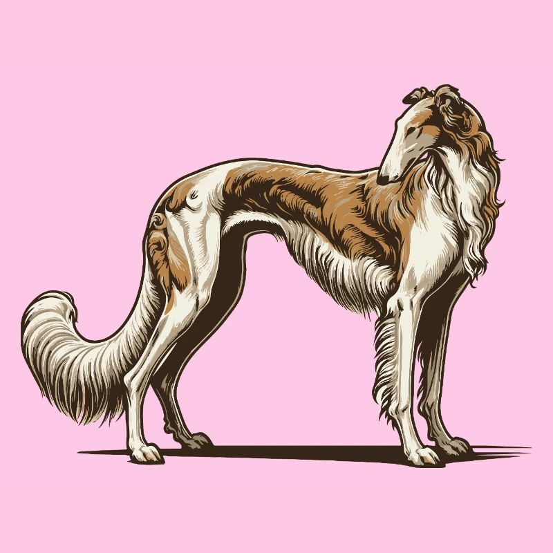 Barsoi