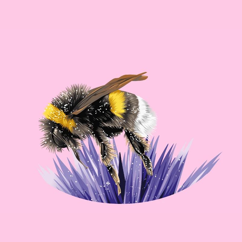 Hummel