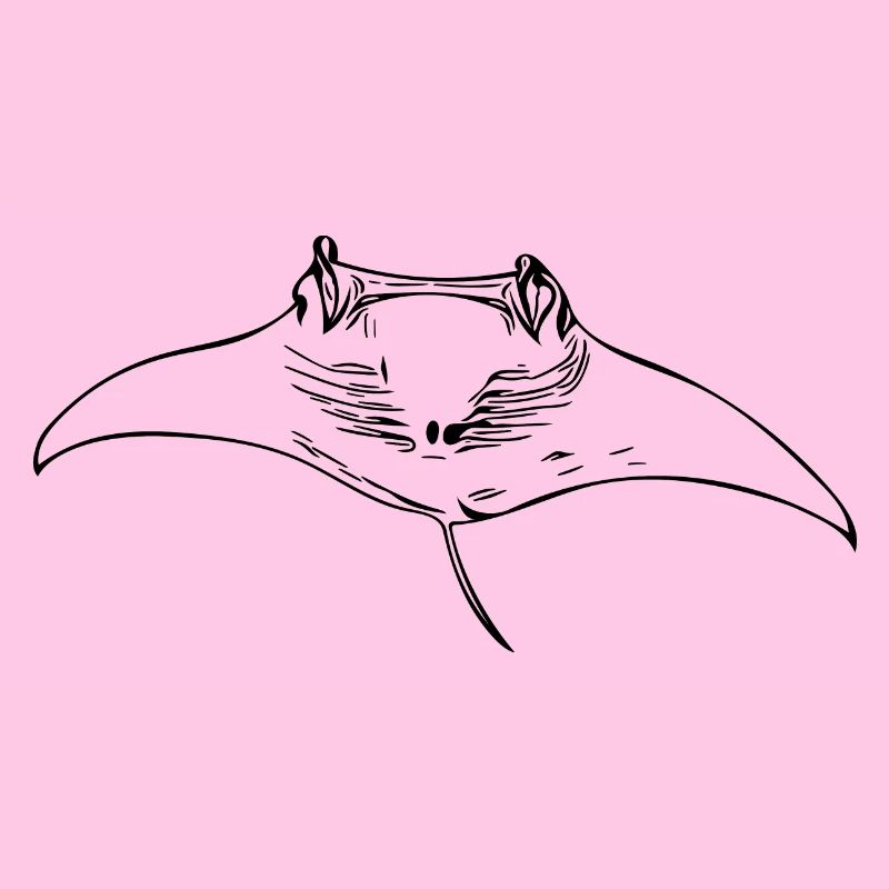 Mantarochen im Gleitflug durch Wasser