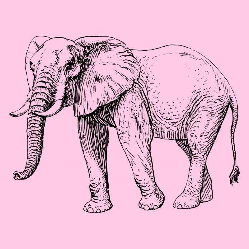 éléphant