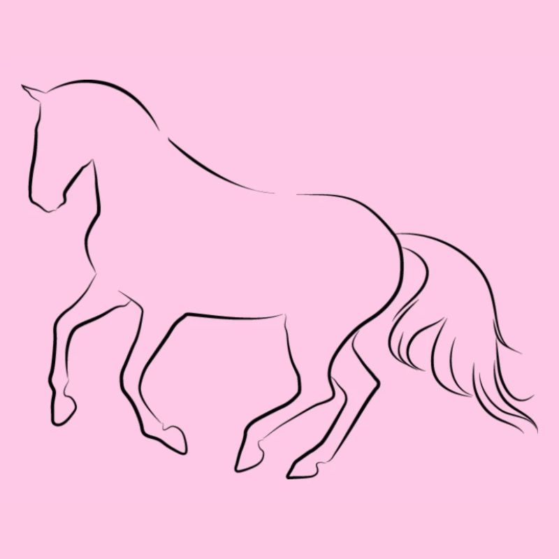 2541614 129631453 Pferd