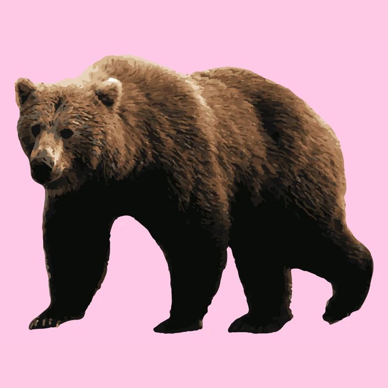 Brauner Bär