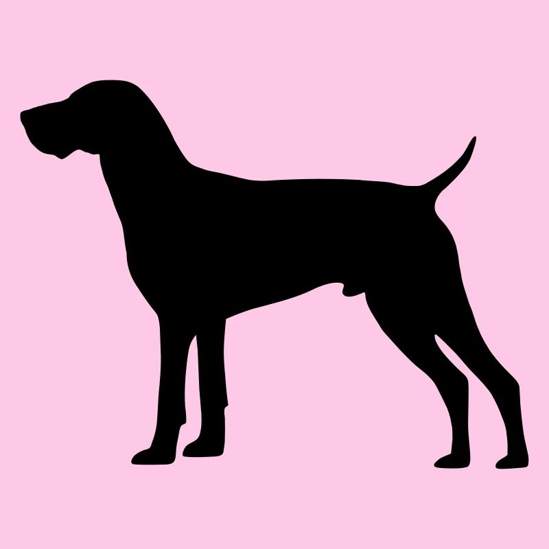 Jagdhund Deutsch Kurzhaar
