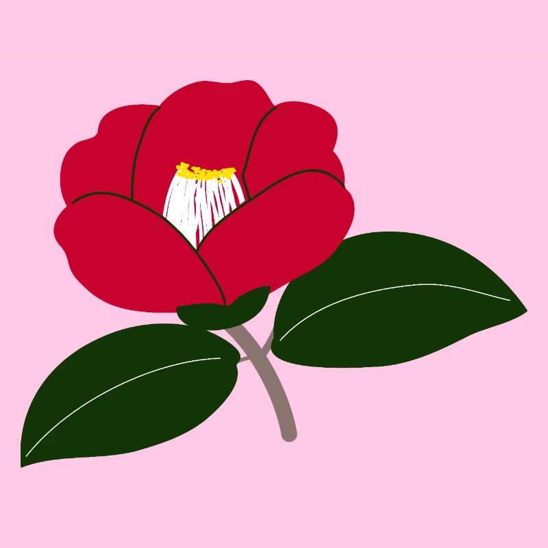 Rote Kamelienblüte Illustration2