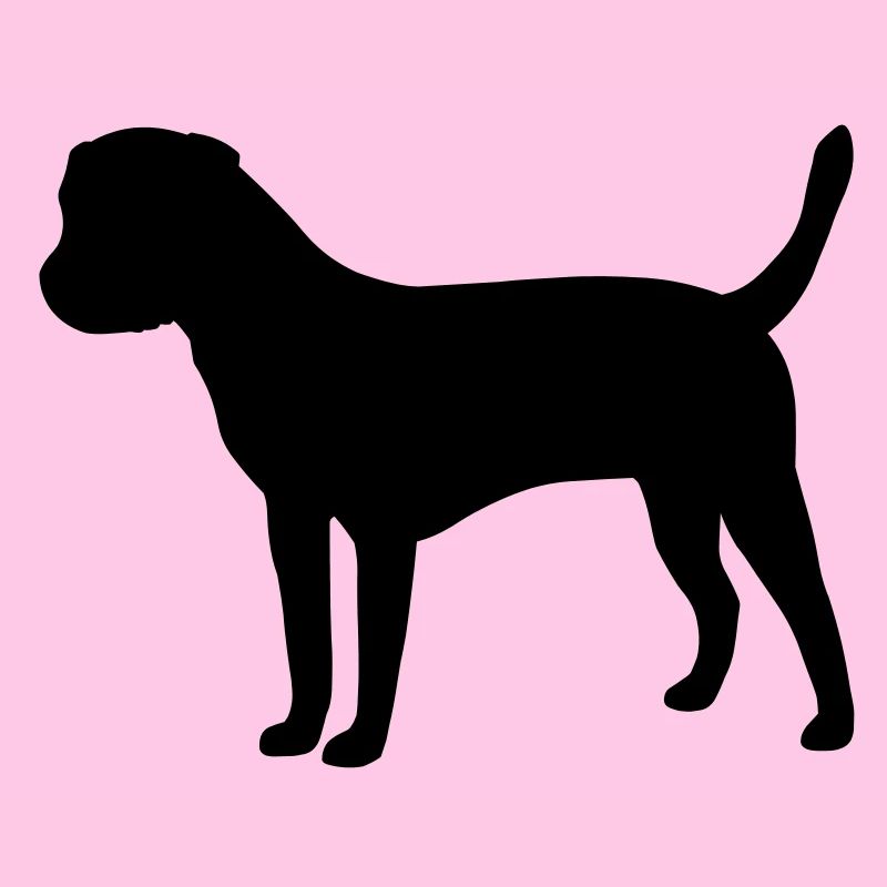 Border Terrier