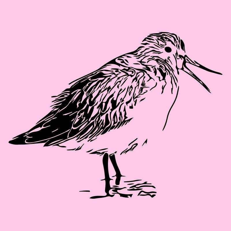 Coureur de la rivière Oiseau