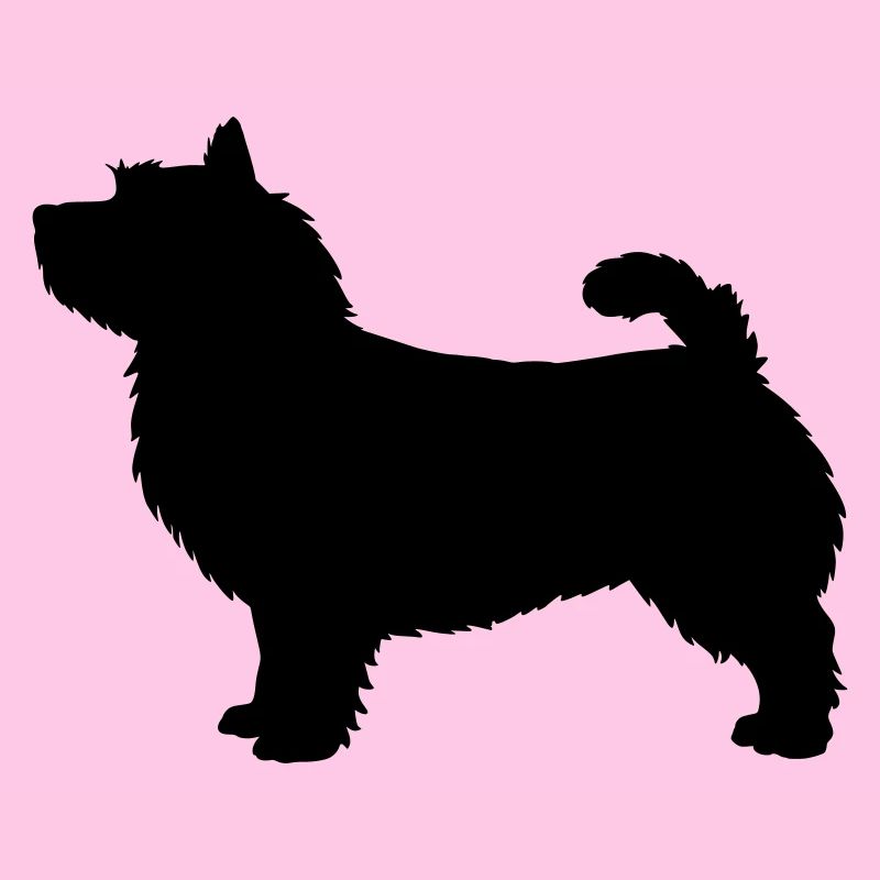 Silhouette des Norwich Terrier
