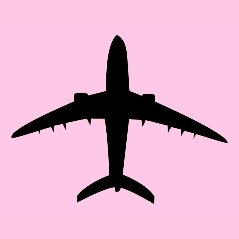 Flugzeug
