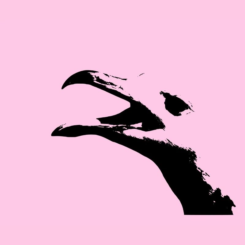 Möwe