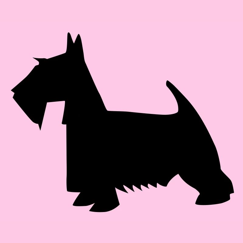 black scottish terrier