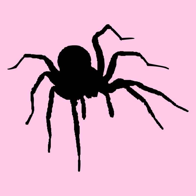 The Spider