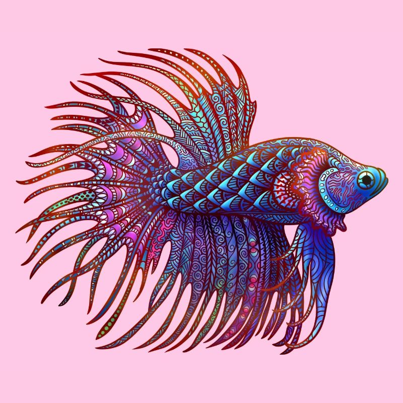Couleur Betta Zentangle