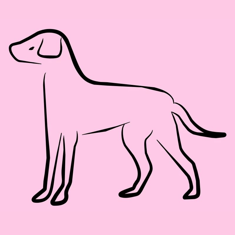 Chien