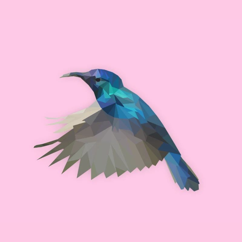 Low Poly Kolibri