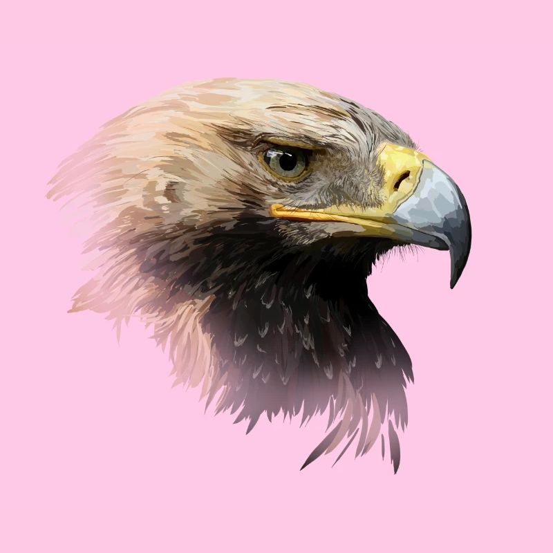 aigle
